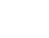 EV Firearms